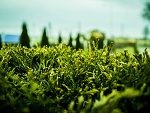 Fotoblog czarosssaid