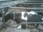 Fotoblog jekaterina00