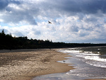 Fotoblog kaczuska9