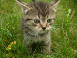 Fotoblog adaxb