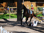 Fotoblog magnumkass