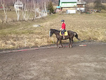 Fotoblog laskonik