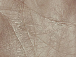 Fotoblog moizm