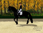 Fotoblog greenhillparkstables