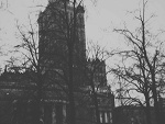 Fotoblog drewnianyhamulec