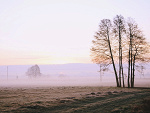 Fotoblog moella
