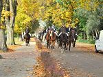Fotoblog spartanowa