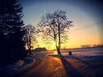 Fotoblog hestia999