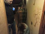Fotoblog raspberrytime