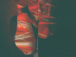 Fotoblog coffeesun