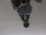 Fotoblog romaro