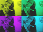 Wpis rudaxd
