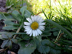 Fotoblog maniekgk12