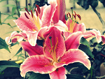 Fotoblog sandraphotograpy