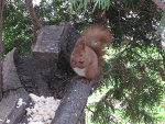 Fotoblog karolajn711