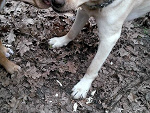 Fotoblog muchitko