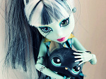 Fotoblog smallcat123