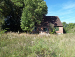 wyspa Bielawa
