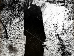 Fotoblog panpatryk