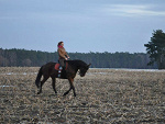 Fotoblog thedieiscast