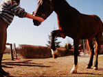Fotoblog funnycrazygirls