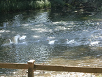 Fotoblog klaudiaswatek