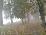Fotoblog webey