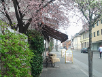 Fotoblog mananishiwaki