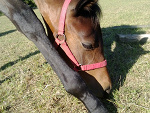 Fotoblog jula683