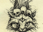 Fotoblog kitty06