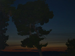 Fotoblog wikusia963