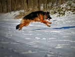 Fotoblog raffphoto