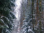Fotoblog wjpassion