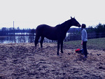 Fotoblog eseczka06