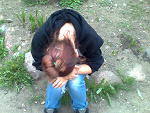 Fotoblog zatracsiieitaanczx3