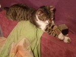 Fotoblog fiooletoowoo