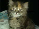 Fotoblog olcia723