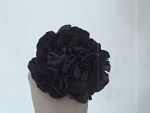 Fotoblog ixmissxyou