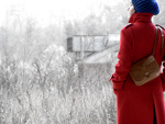 Fotoblog still4life