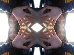 Fotoblog cutecankill