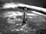 Fotoblog pandziola