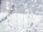 Fotoblog jaerin16