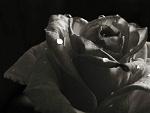 Fotoblog xsercemjamajkax