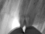 Fotoblog z167cm60kgdo55kg