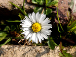 Fotoblog saraai