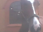 Fotoblog messaa