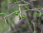 Fotoblog zezu