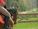 Fotoblog platewithdreams