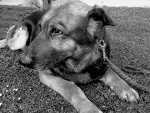 Fotoblog trzaskuu