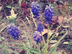 Fotoblog dudziakphotography